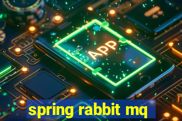 spring rabbit mq